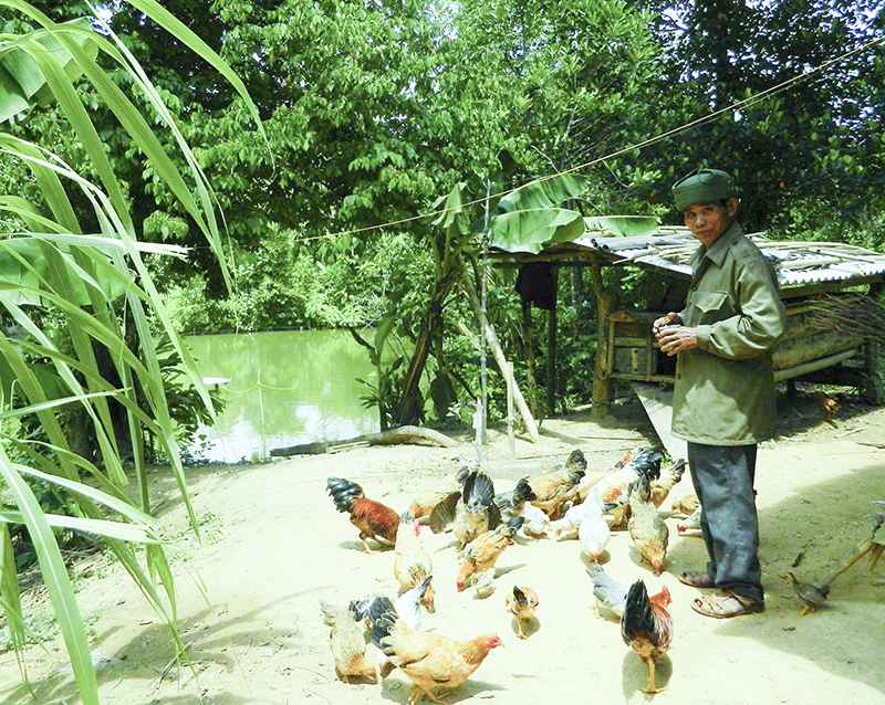 Hội viên hội CCB xã Ba Nang, huyện Đakrông phát triển kinh tế gia đình