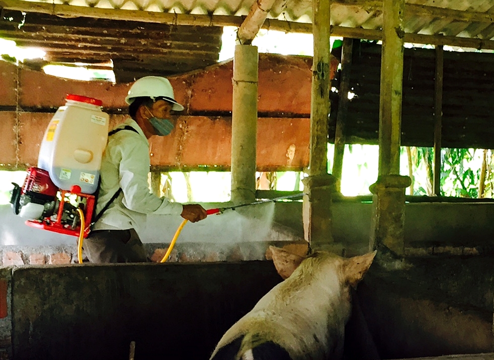 Triển khai các biện pháp phòng, chống bệnh dịch tả lợn Châu Phi tại Hải Lăng