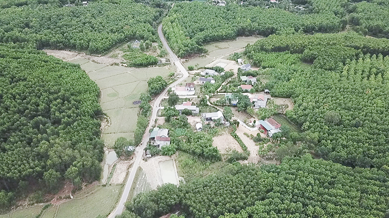 Một góc thôn Thiện Chánh nhìn từ trên cao