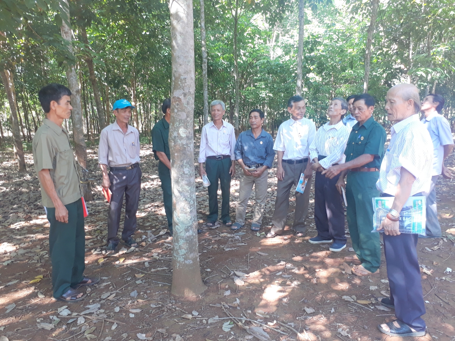 Ông Trần Minh Sơn (ngoài cùng bên trái) cùng hội viên CCB xã Vĩnh Nam tham quan mô hình trồng cao su ở địa phương