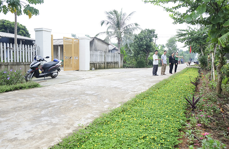 Đường hoa ở thôn Gia Lâm, Vĩnh Long, Vĩnh Linh