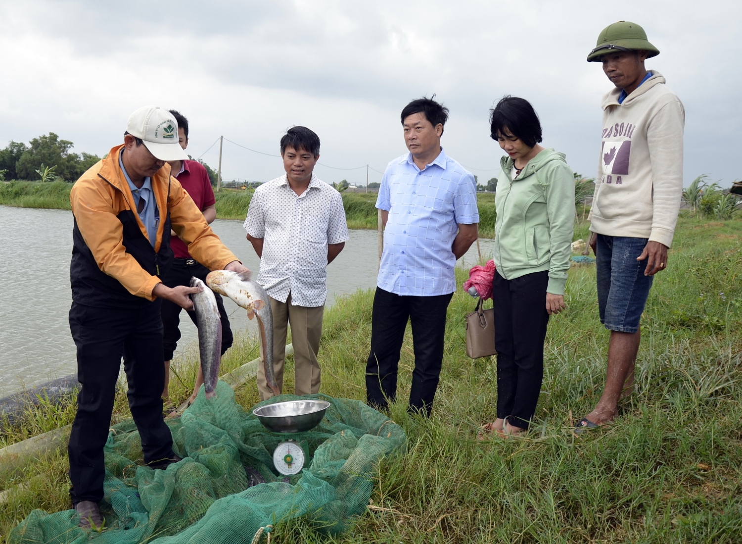 Sau 6 tháng nuôi, cá đạt trọng lượng 0,7-0,8kg/con
