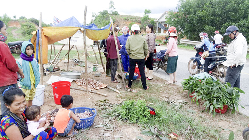 Nhộn nhịp cảnh mua bán nấm tràm ở xã miền núi Vĩnh Khê. Ảnh: Nguyễn Đồng