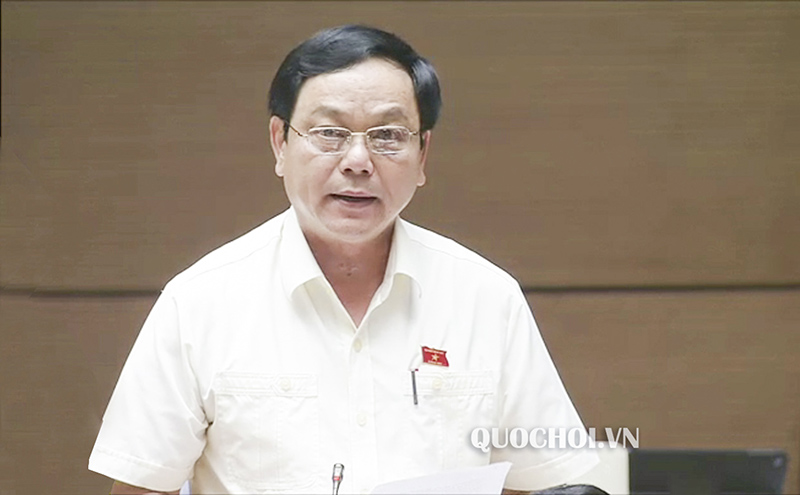 Đại biểu Hoàng Đức Thắng phát biểu tại hội trường. Ảnh: PHN