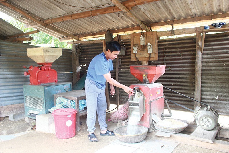 Các hộ nông dân được tạo điều kiện vay vốn phát triển sản xuất, xóa đói giảm nghèo​