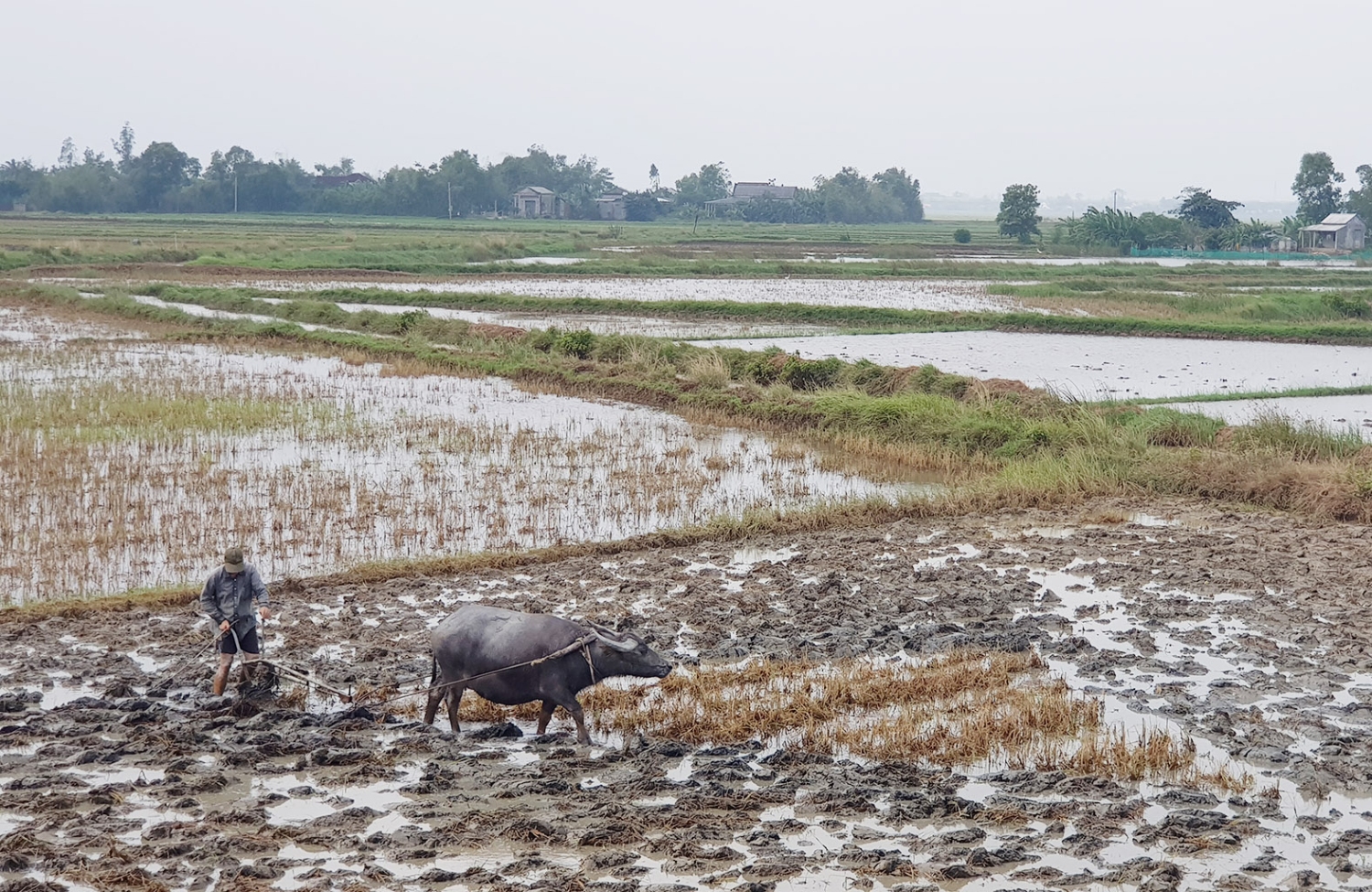Nông dân huyện Vĩnh Linh đang chuẩn bị đất ruộng cho vụ đông xuân