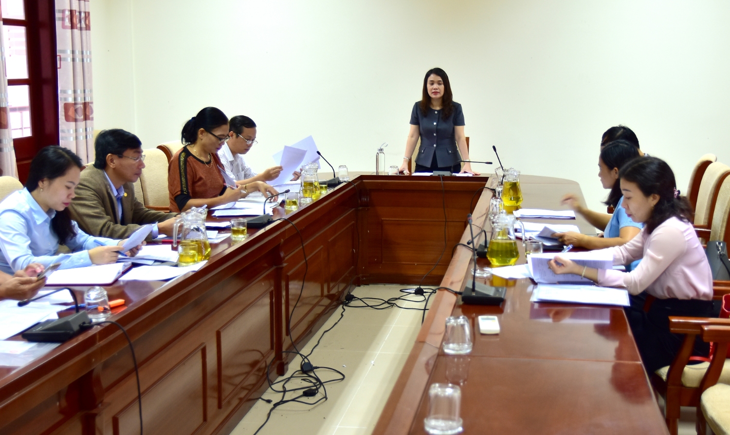 Chủ nhiệm Ủy ban Kiểm tra Tỉnh ủy, Trưởng Ban Văn hóa – Xã hội HĐND tỉnh Hồ Thị Thu Hằng phát biểu tại buổi làm việc