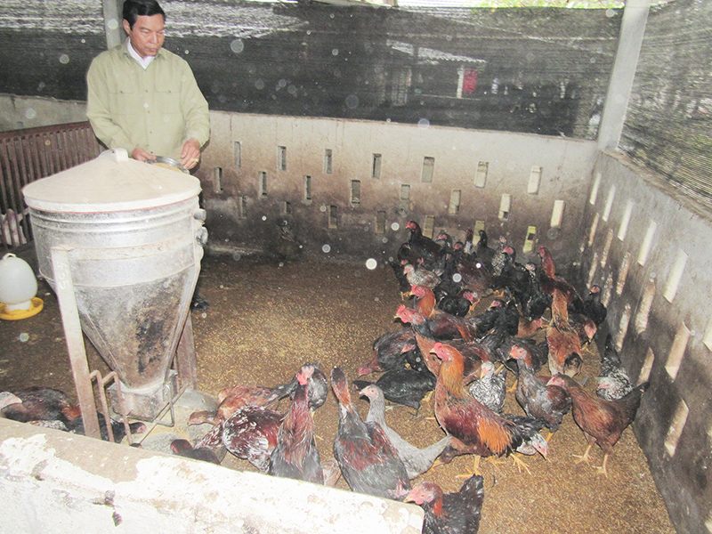 Một mô hình CCB làm ăn giỏi ở Hải Lăng​