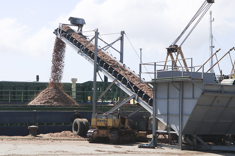 Xuất khẩu gỗ dăm qua cảng Cửa Việt​