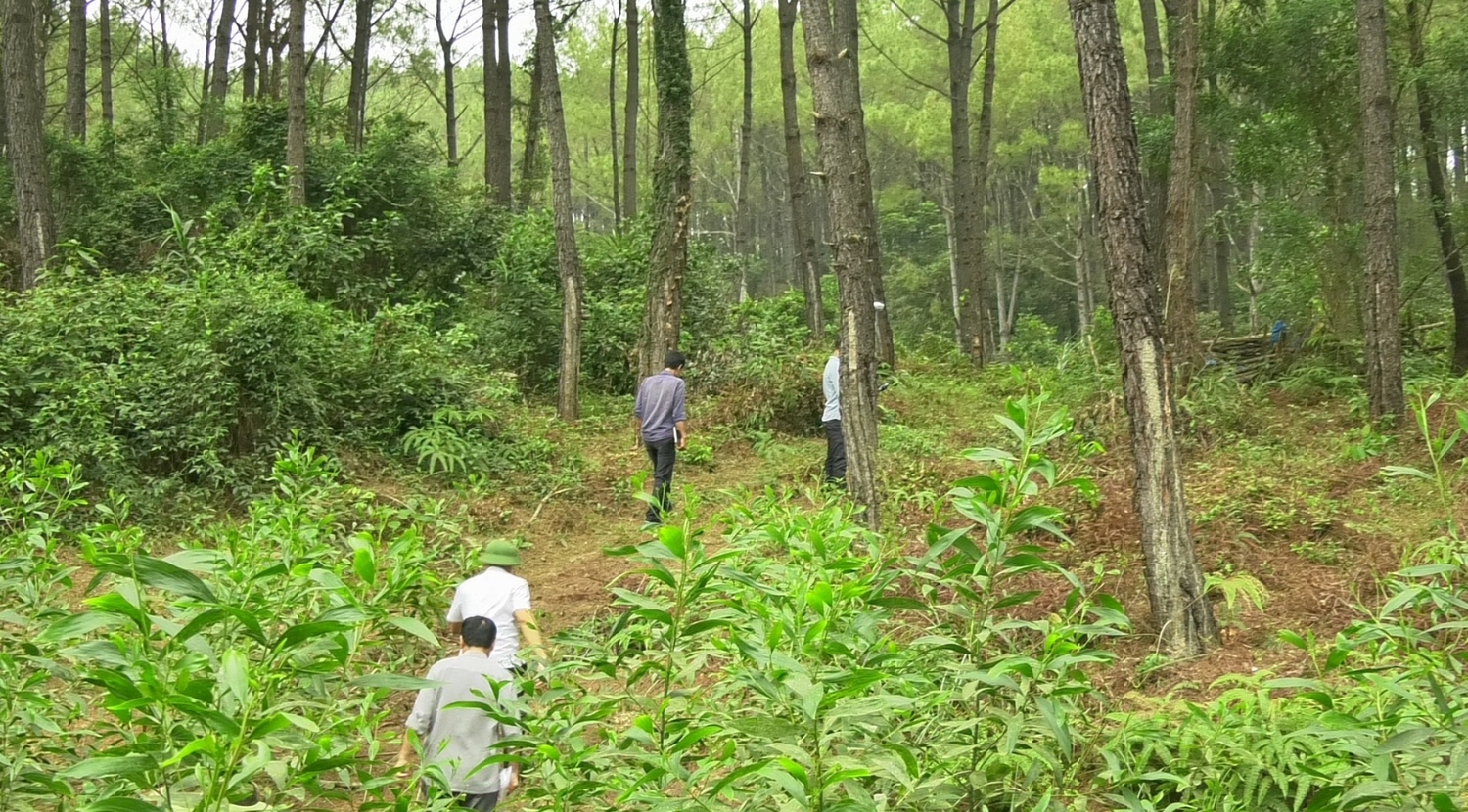 Việc tham gia nhận khoán bảo vệ rừng còn góp phần nâng cao thu nhập cho người dân- Ảnh: N.Đ​