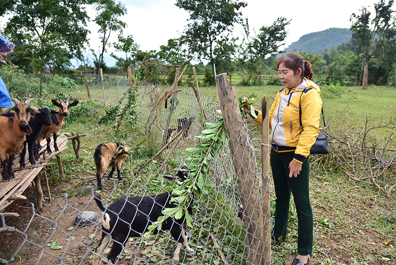 Chị Khuyên là người tiên phong trong làm kinh tế tại xã Mò Ó. Ảnh: Trần Tuyền