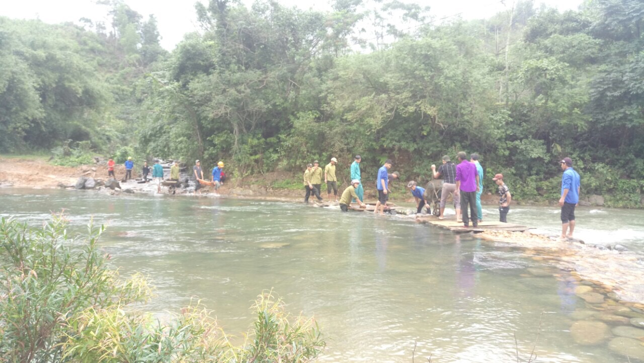 Đoàn viên, thanh niên Ban Quản lí Rừng phòng hộ lưu vực sông Bến Hải tập trung nhân lực hỗ trợ bắc cầu dân sinh tại xã Vĩnh Ô-Ảnh: N.T​