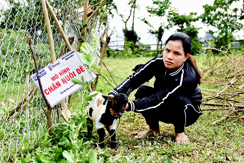 Nuôi dê mang lại thu nhập ổn định cho phụ nữ xã Mò Ó. Ảnh: TT