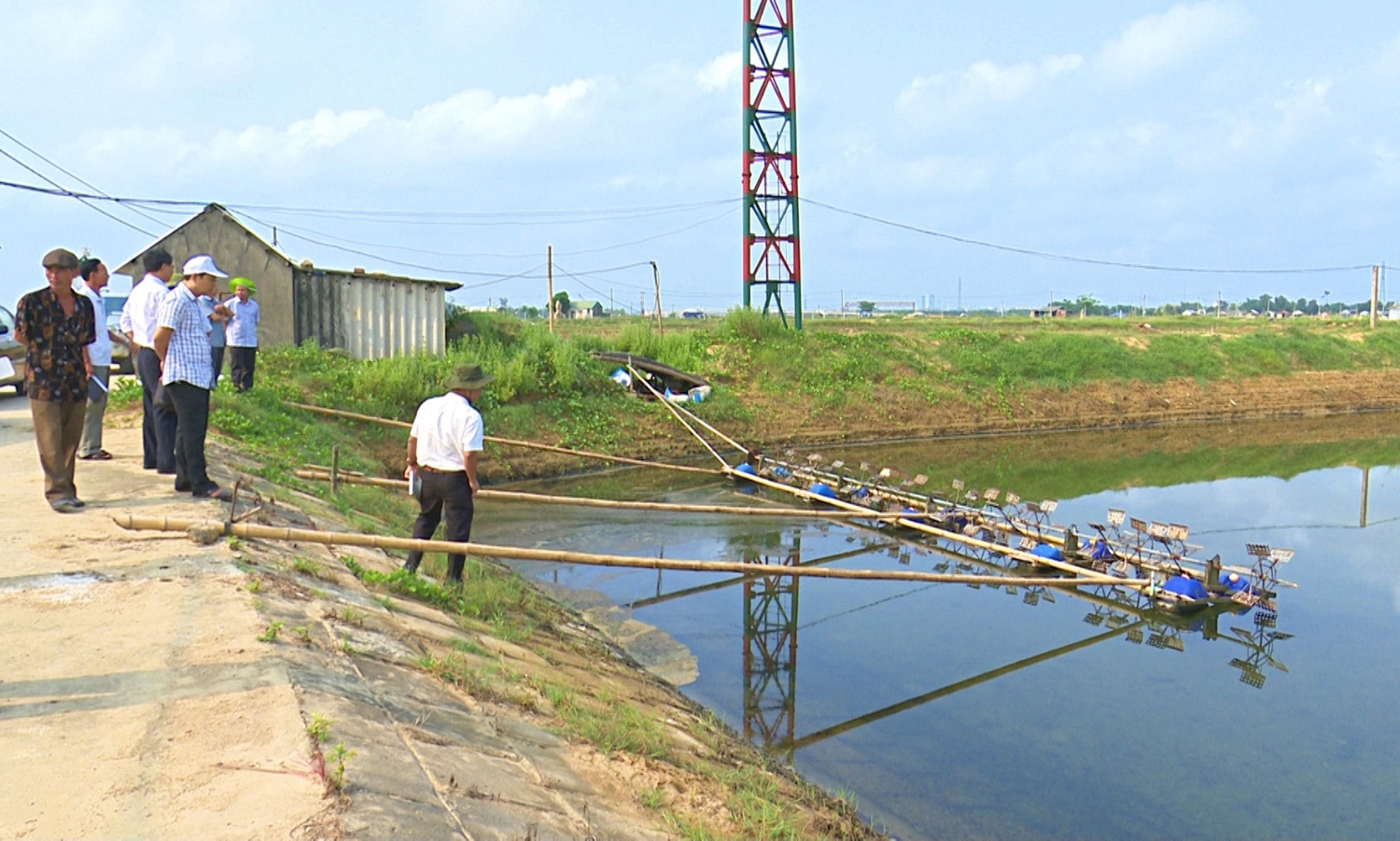 Kiểm tra các mô hình nuôi tôm tại thành phố Đông Hà - Ảnh: Q.H