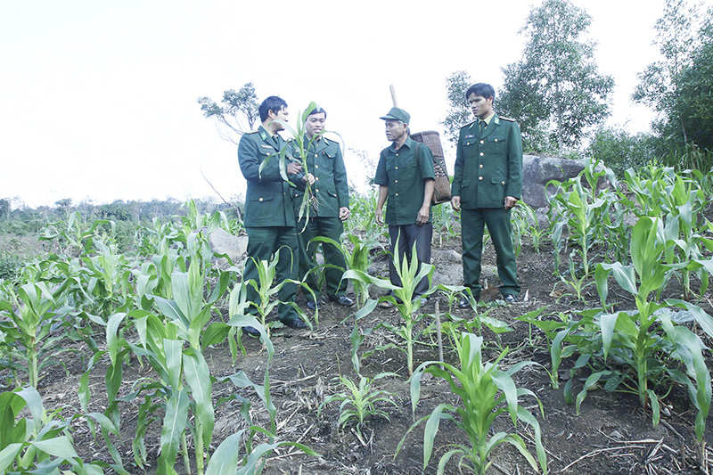 Cán bộ BĐBP tỉnh hướng dẫn kỹ thuật chăm sóc cây ngô lai cho đồng bào dân tộc thiểu số. Ảnh: PPT