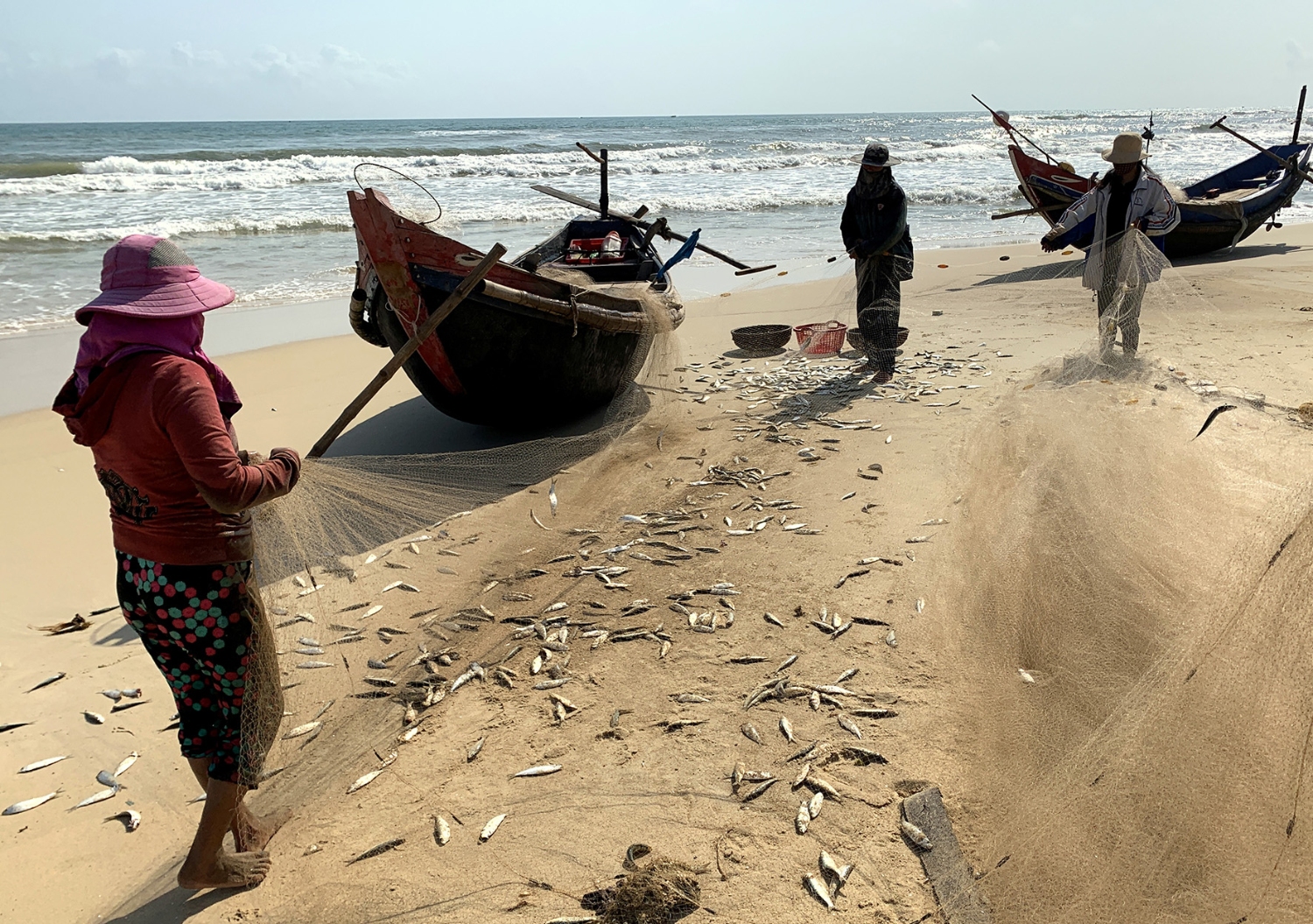 Ngư dân bãi ngang xã Trung Giang, huyện Gio Linh gỡ cá ra khỏi lưới - Ảnh: Trần Tuyền