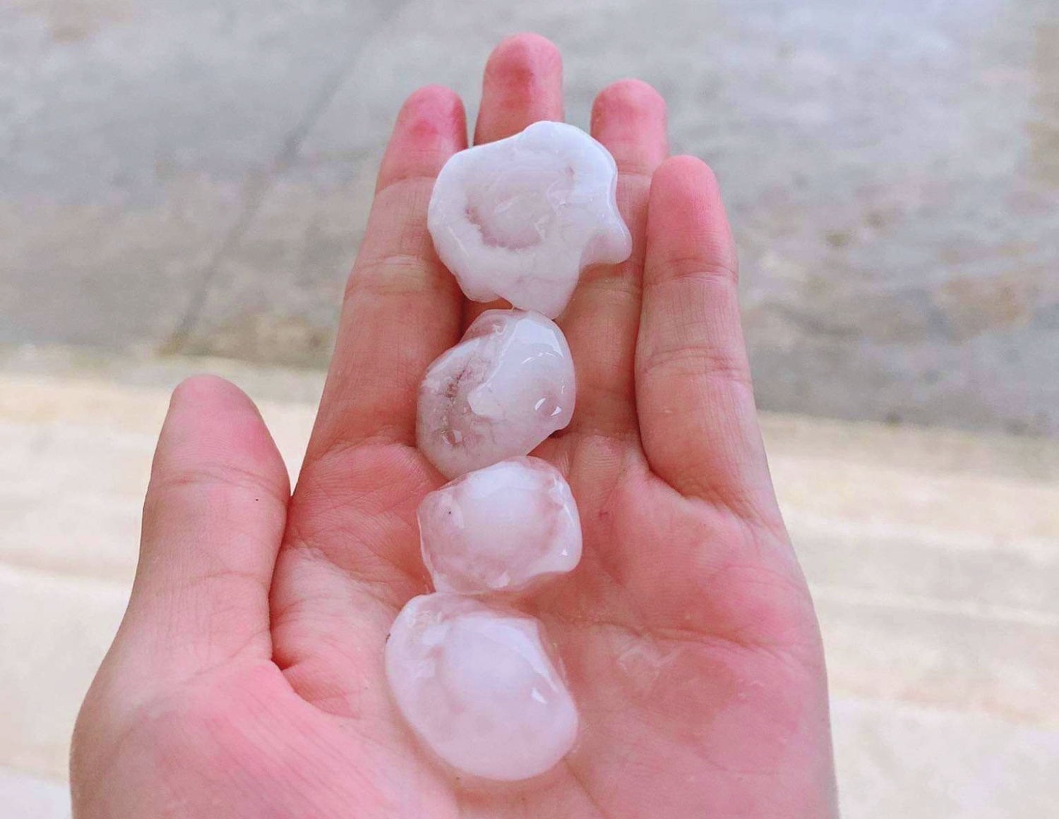 Kích thước của viên đá trong trận mưa đá xảy ra ở huyện Hướng Hóa khá lớn - Ảnh: Q.H