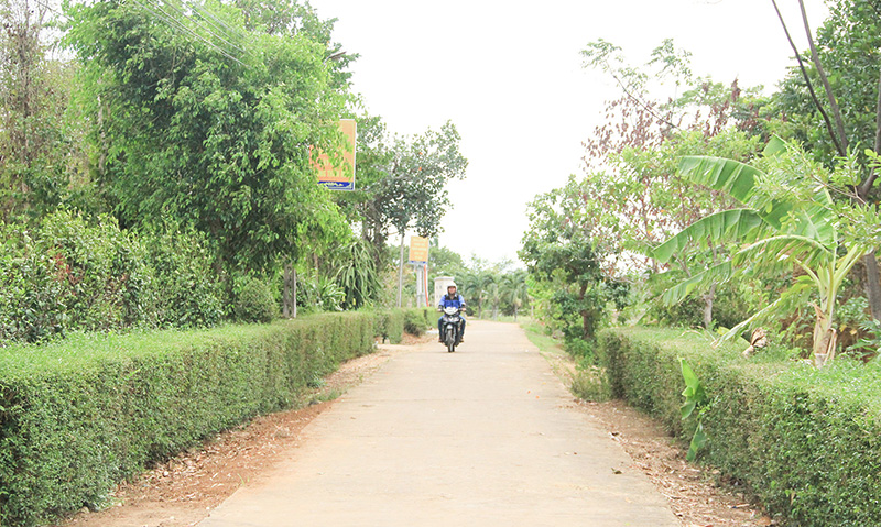 Làng quê Linh Hải đang khởi sắc từng ngày. Ảnh: HN