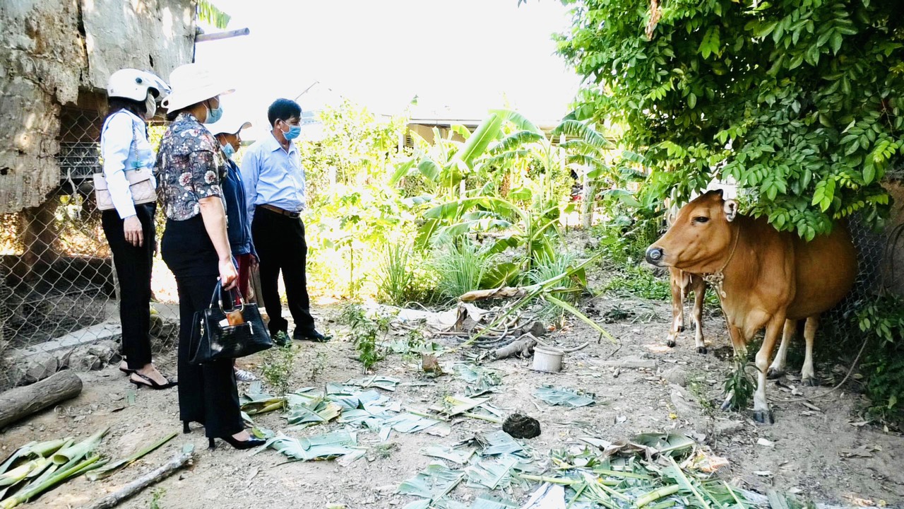 Hỗ trợ sinh kế cho đồng bào tôn giáo thoát nghèo bền vững