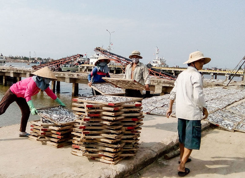 Chế biến hải sản đem lại nguồn thu nhập khá cho người dân Triệu An, Triệu Phong - Ảnh: T.L