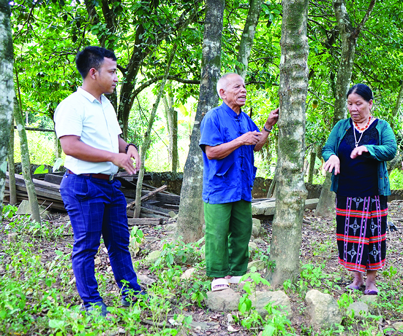 Cựu chiến binh Hồ Văn Với (thứ hai từ trái sang) giới thiệu vườn cây gỗ huê giá trị kinh tế cao của gia đình -Ảnh: T.H