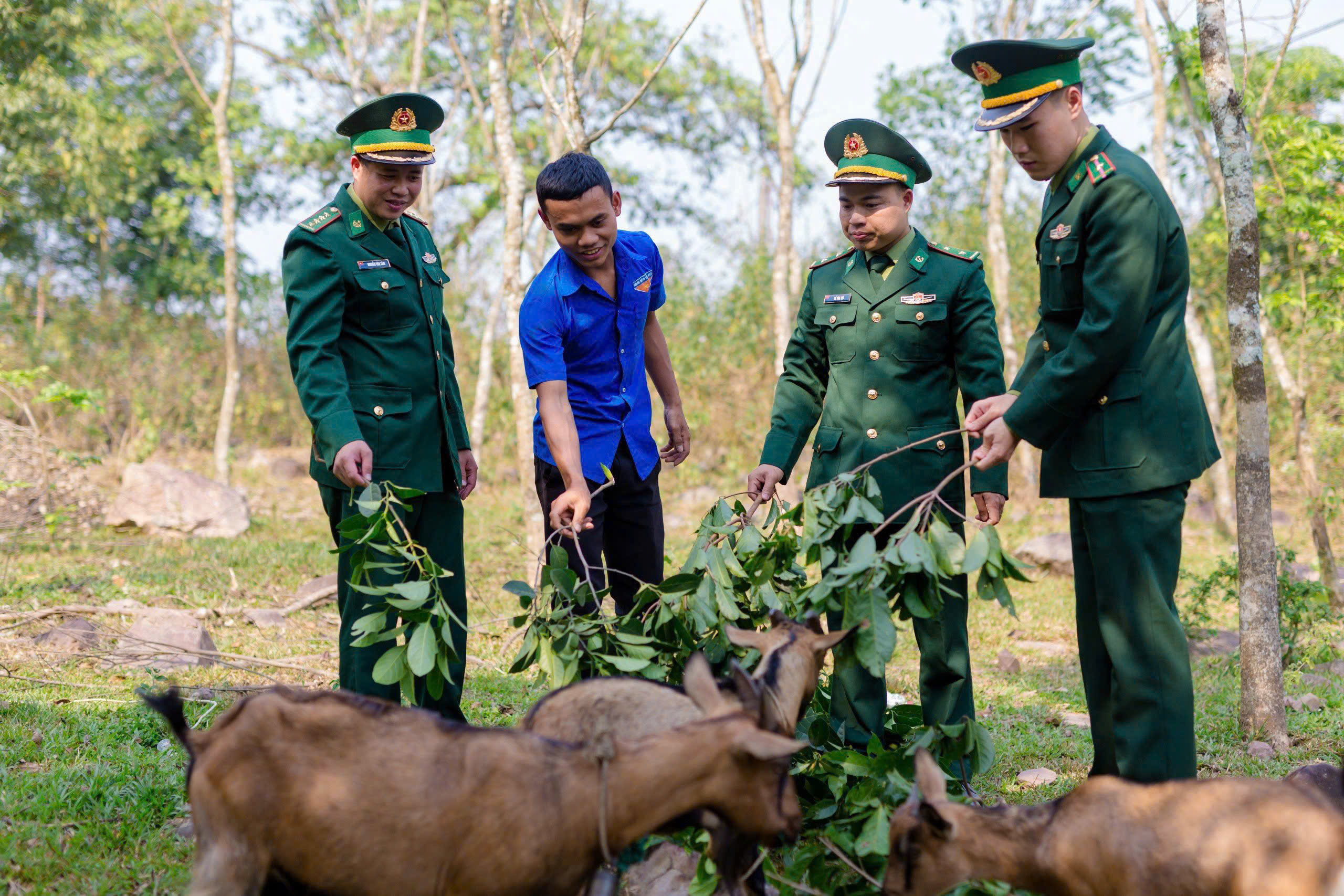 Ban Chỉ huy Đồn Biên phòng Cửa khẩu Quốc tế La Lay thăm mô hình nuôi dê trên địa bàn